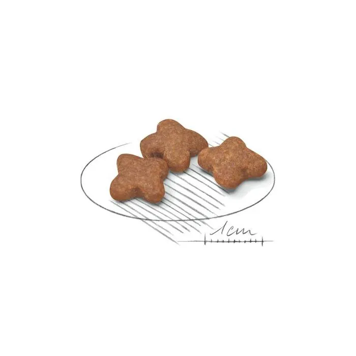 غذای خشک سگ نژاد کوچک رویال کنین | Royal Canin Mini Adult +8 — نمای دیگر بسته‌بندی