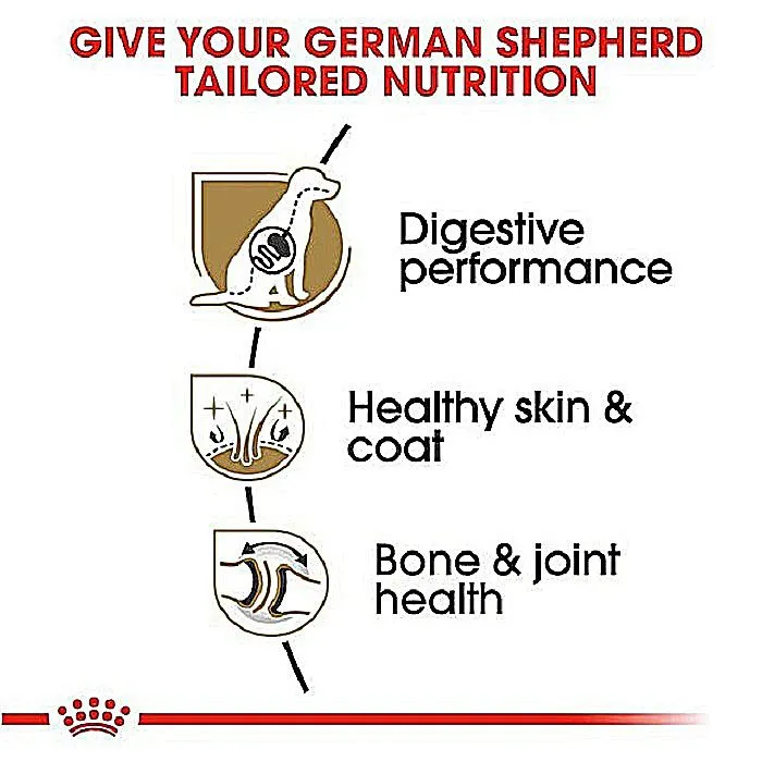 غذای خشک سگ بالغ نژاد ژرمن شپرد رویال کنین | Royal Canin German Shepherd Adult — جدول تغذیه و مقدار مصرف