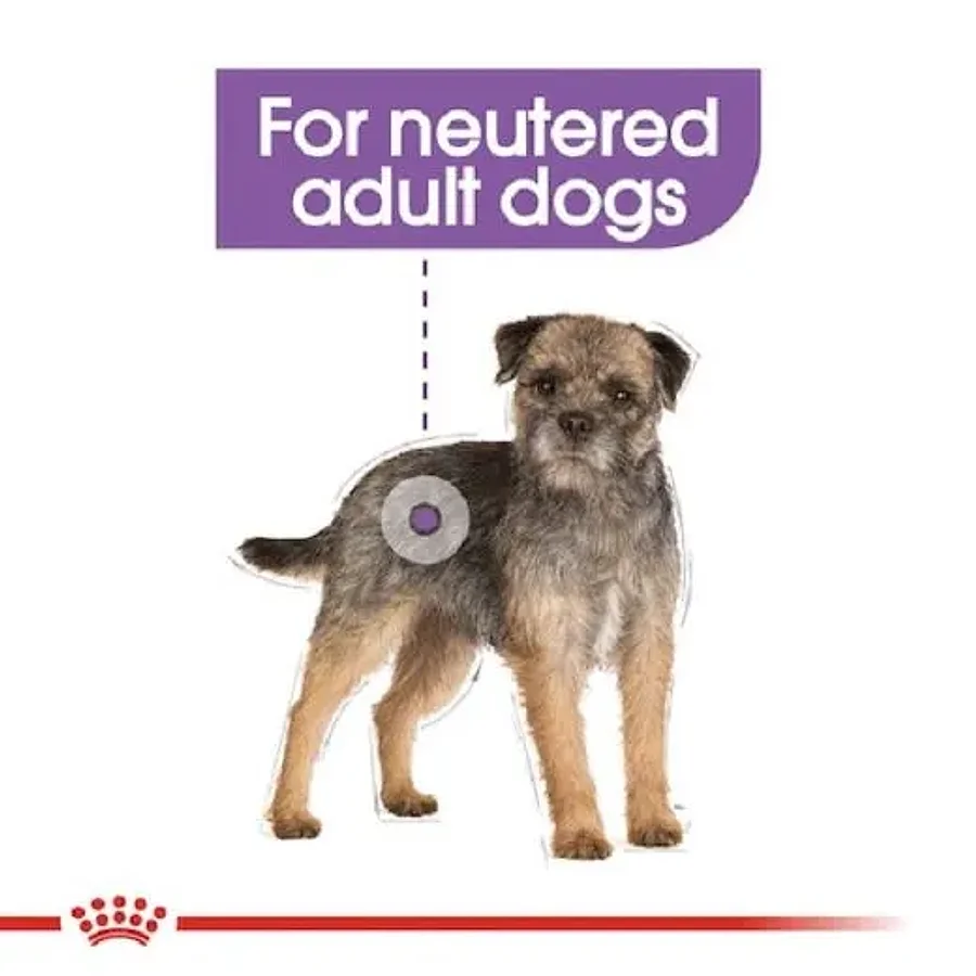 غذای خشک سگ عقیم‌شده نژاد کوچک رویال کنین | Royal Canin Mini Sterilised — جدول تغذیه و مقدار مصرف