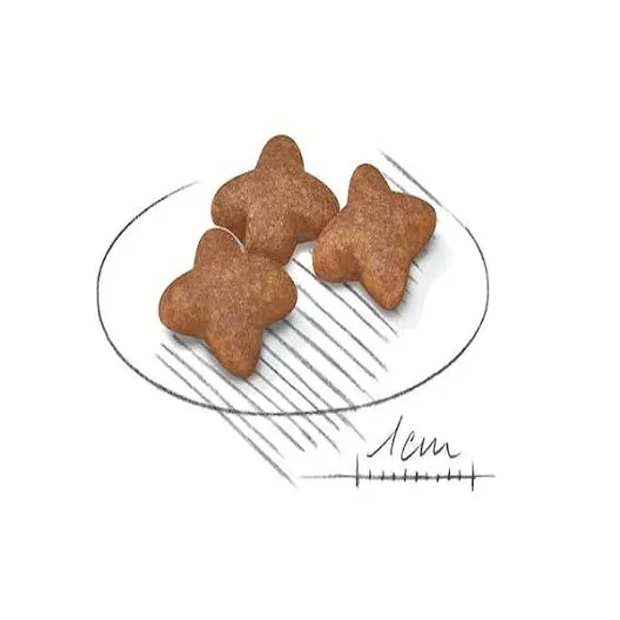 غذای خشک سگ بالغ نژاد کوچک رویال کنین | Royal Canin Mini Adult — نمای دیگر بسته‌بندی