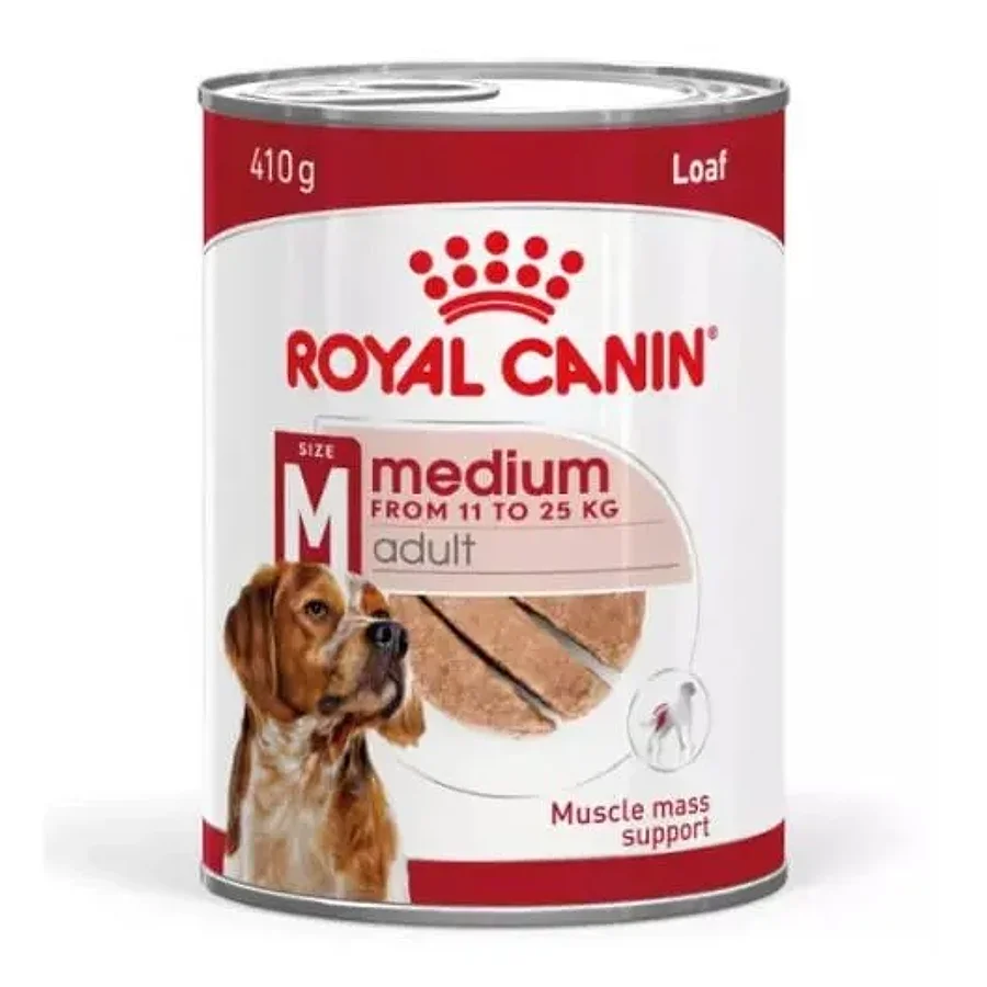 غذای لوف سگ بالغ نژاد متوسط رویال کنین | Royal Canin Medium Adult Loaf