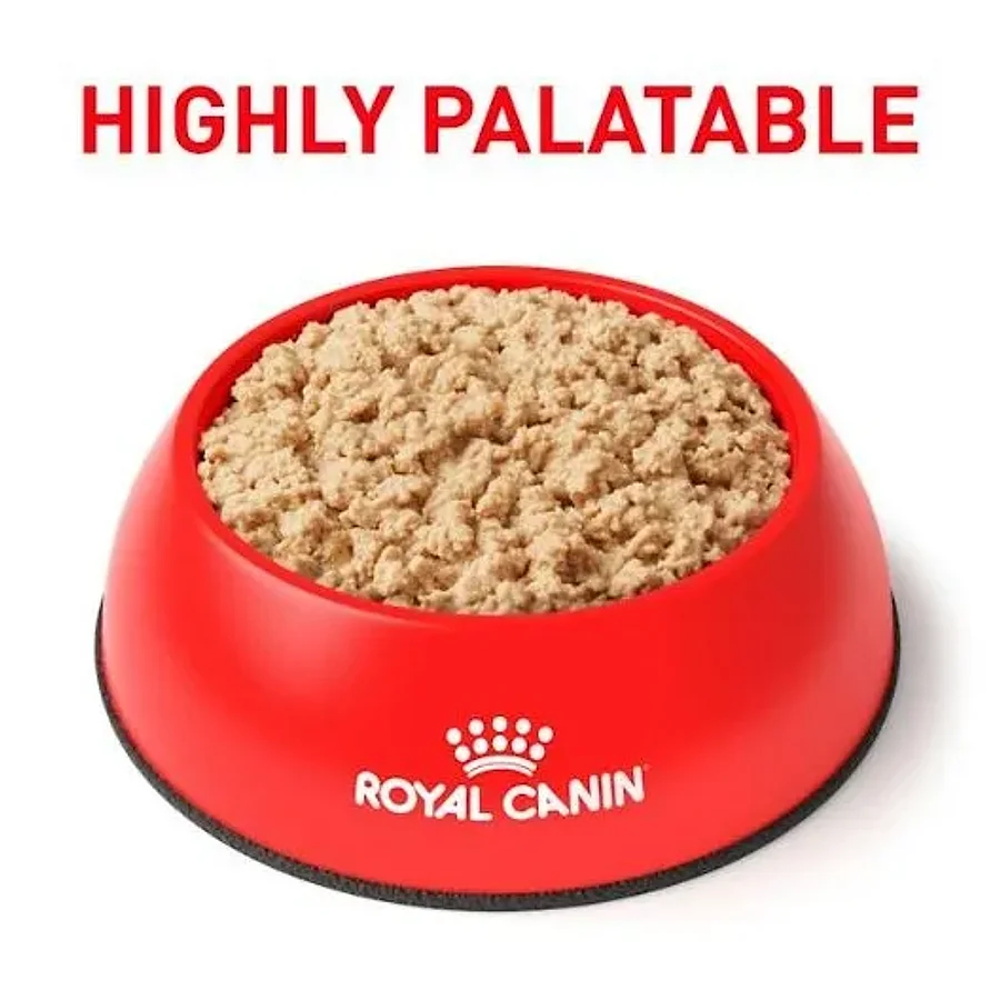 غذای موس درمانی ریکاوری رویال کنین برای سگ و گربه | Royal Canin Recovery Wet Food — نمای دیگر بسته‌بندی