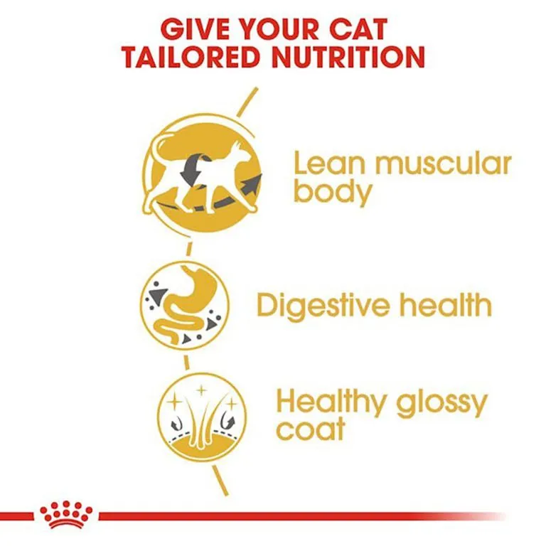 غذای خشک گربه بالغ نژاد سیامی رویال کنین | Royal Canin Siamese Adult — ترکیبات و آنالیز