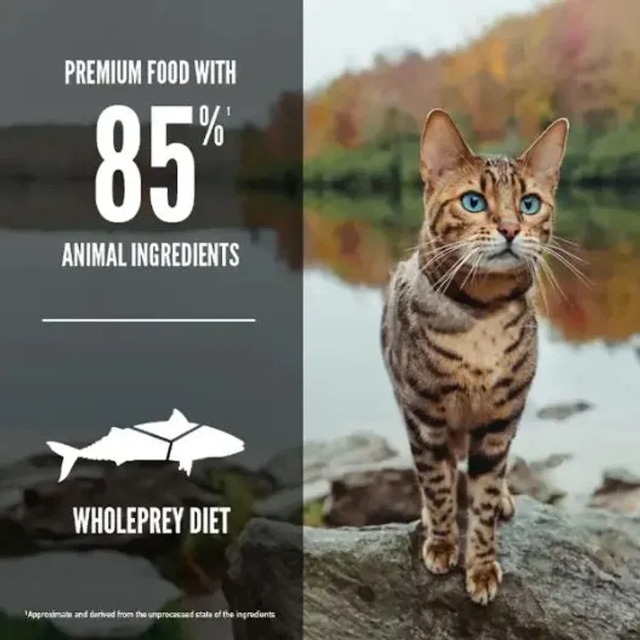 غذای خشک گربه اوریجن شش ماهی وحشی | Orijen Six Fish Cat Food — جدول تغذیه و مقدار مصرف