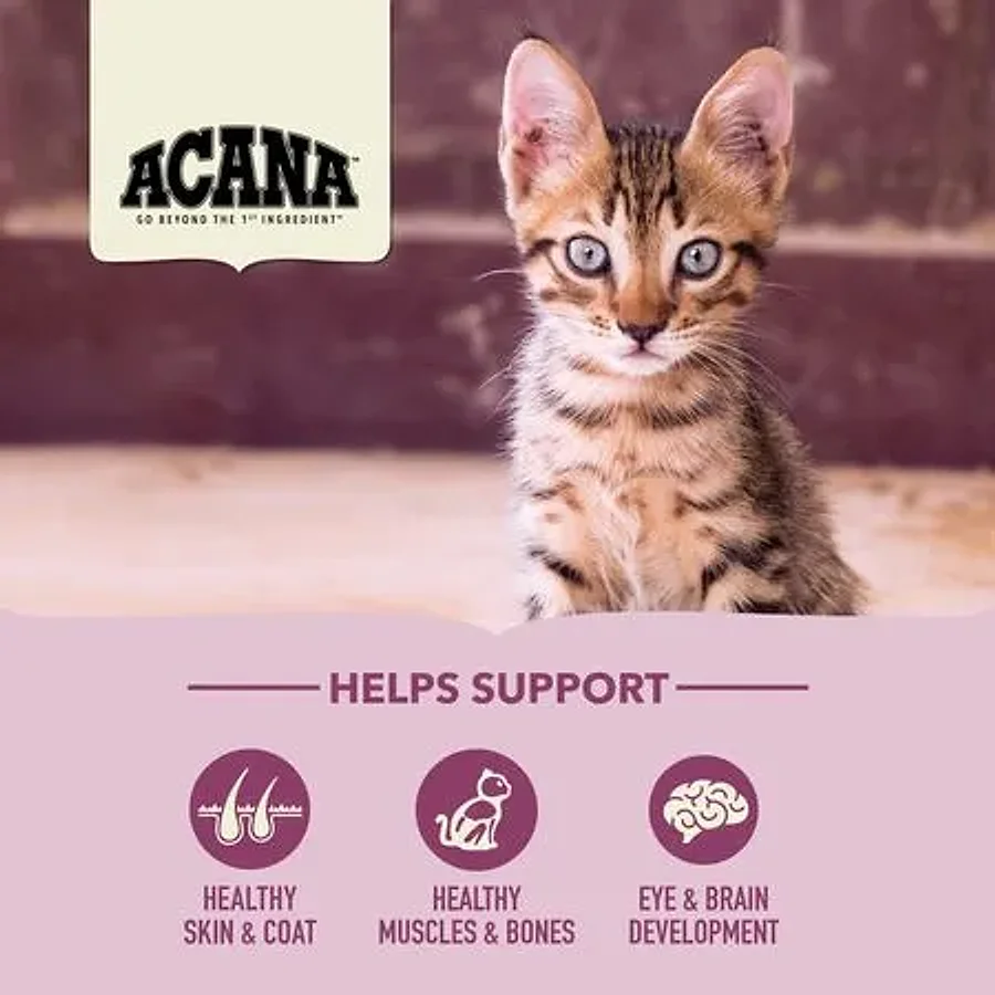 غذای خشک بچه گربه آکانا فرست فیست با طعم مرغ و ماهی | Acana First Feast Kitten — تصویر تکمیلی
