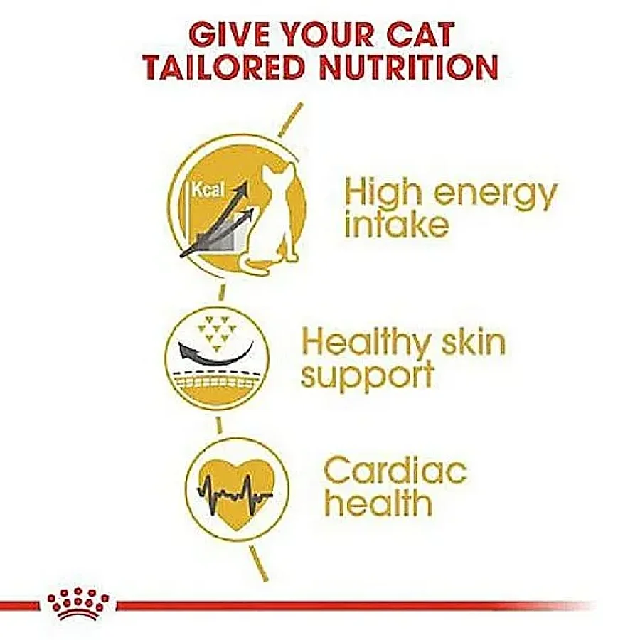 غذای خشک گربه بالغ نژاد اسفینکس رویال کنین | Royal Canin Sphynx Adult — جزئیات بسته‌بندی