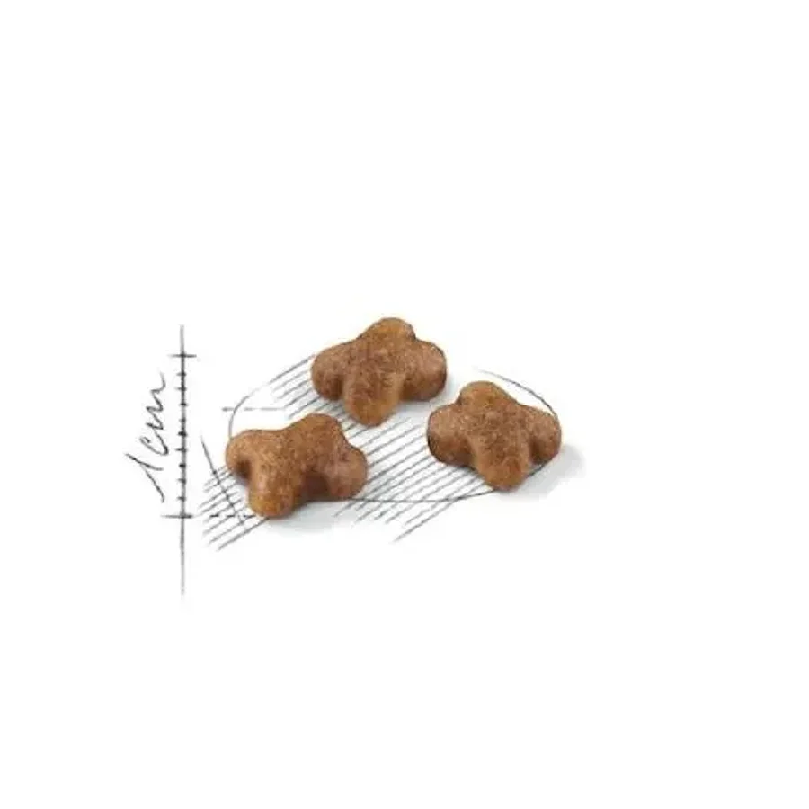 غذای خشک بچه گربه رویال کنین کیتن | Royal Canin Kitten Dry Cat Food — نمای دیگر بسته‌بندی