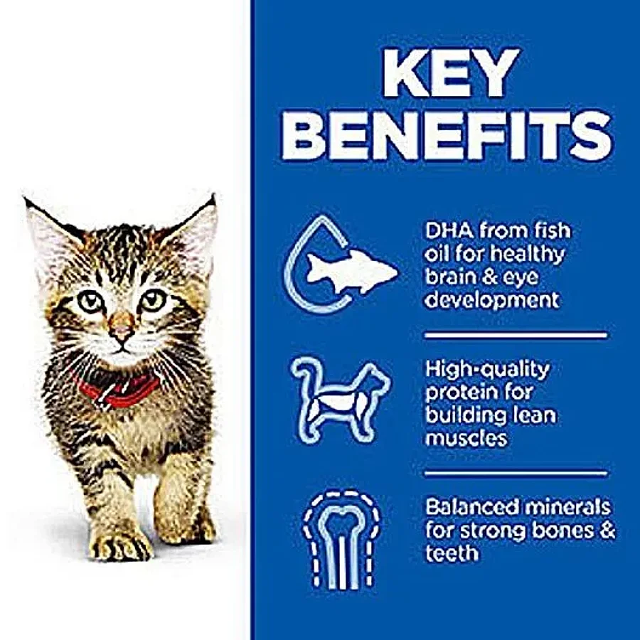 غذای خشک بچه گربه هیلز ساینس پلن با طعم مرغ | Hill's Science Plan Kitten Chicken — جدول تغذیه و مقدار مصرف