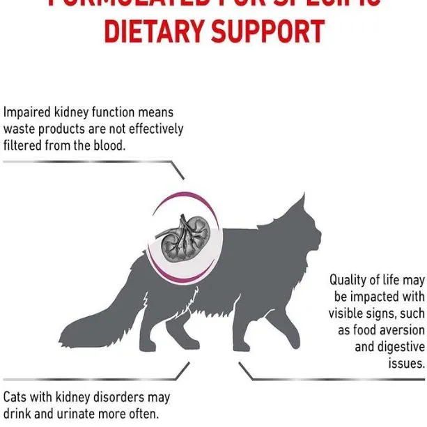 غذای درمانی گربه رویال کنین رنال مراقبت از کلیه | Royal Canin Renal Cat — نمای دیگر بسته‌بندی