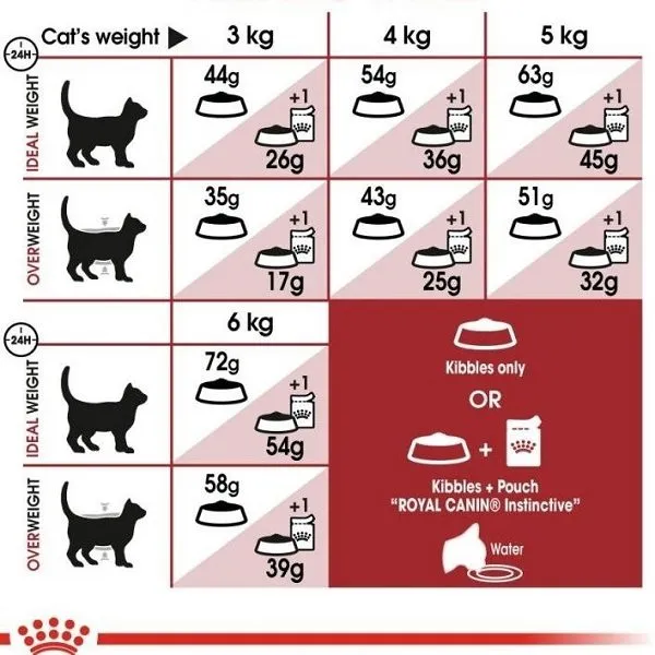 غذای خشک گربه بالغ رویال کنین فیت | Royal Canin Fit 32 Cat Food — جدول تغذیه و مقدار مصرف