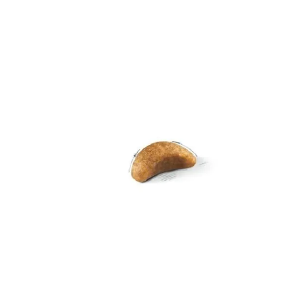 غذای خشک بچه گربه بریتیش شورت‌هیر رویال کنین کیتن | Royal Canin British Shorthair Kitten Cat Food — نمای دیگر بسته‌بندی