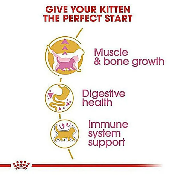 غذای خشک بچه گربه بریتیش شورت‌هیر رویال کنین کیتن | Royal Canin British Shorthair Kitten Cat Food — جزئیات بسته‌بندی