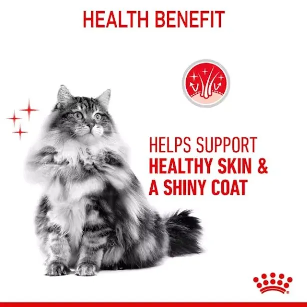 غذای خشک گربه بالغ رویال کنین هیر اند اسکین کر مراقبت از پوست و مو | Royal Canin Hair and Skin Care Cat Food — جدول تغذیه و مقدار مصرف
