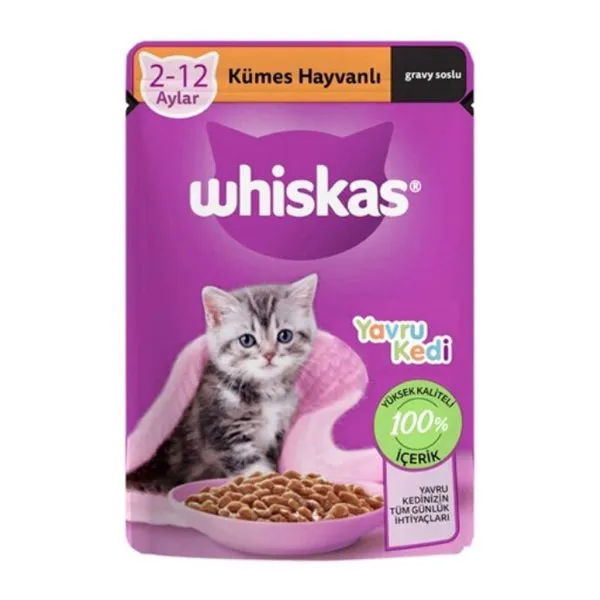 پوچ بچه گربه ویسکاس جونیور در سس | Whiskas Junior Kitten in Gravy Wet Cat Food