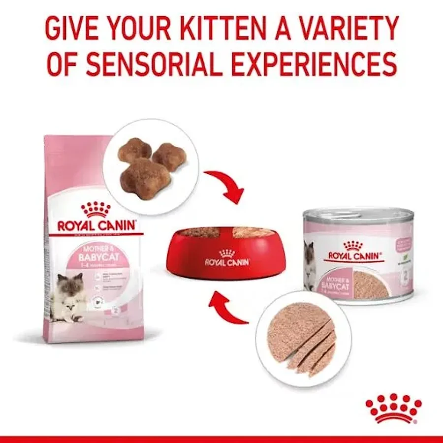 کنسرو موس فوق‌نرم رویال کنین مادر و بچه گربه | Royal Canin Mother & Babycat Ultra Soft Mousse — جزئیات بسته‌بندی