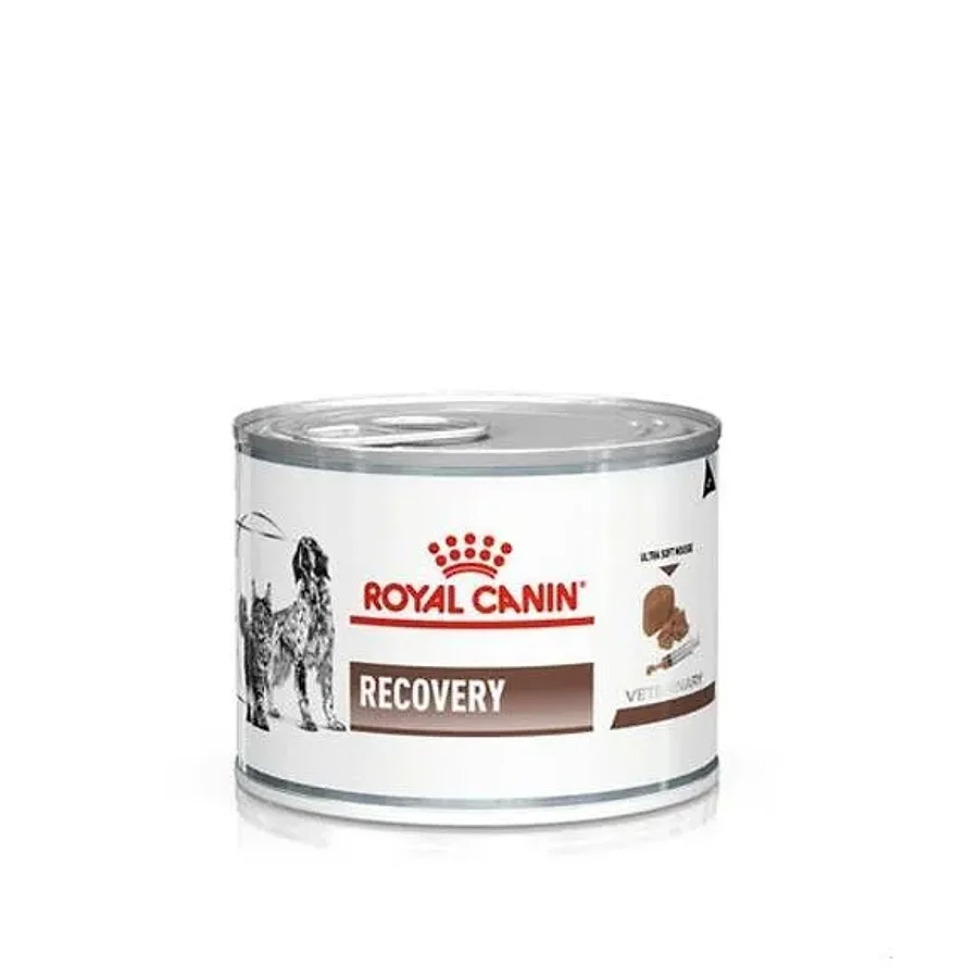 کنسرو موس رویال کنین ریکاوری دوران بهبودی گربه و سگ | Royal Canin Recovery Ultra Soft Mousse